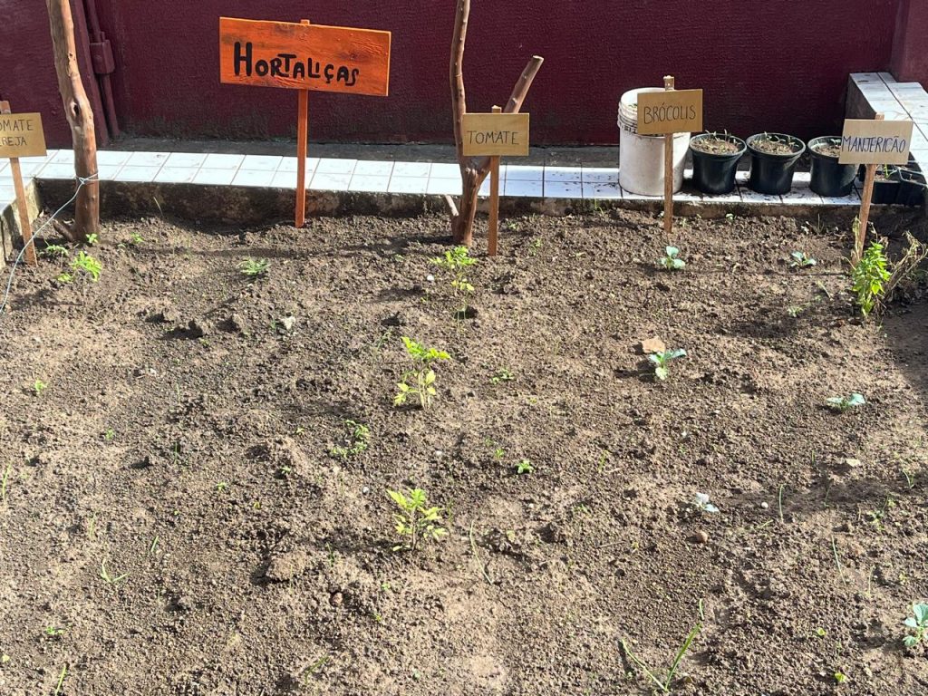 Estudantes de Agronomia da PUCPR realizam projeto de extensão em colégios de Curitiba