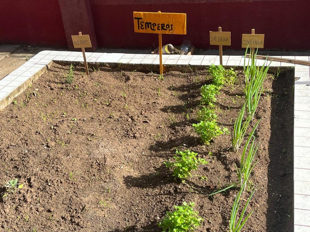 Estudantes de Agronomia da PUCPR realizam projeto de extensão em colégios de Curitiba