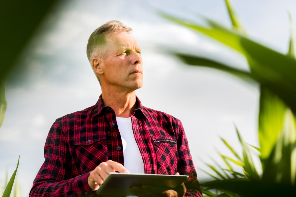 homem está no meio de uma plantação e segurando um tablet